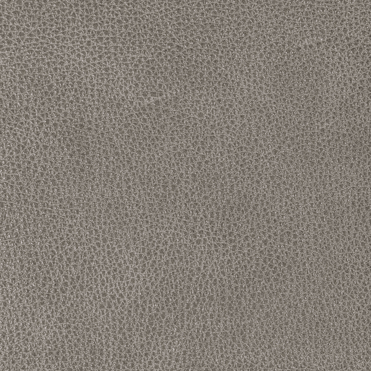 KRAVET DESIGN L-BISON.ARMOR.0 KRAVET DESIGN L-BISON-ARMOR Fabric - Eade's Wallpaper