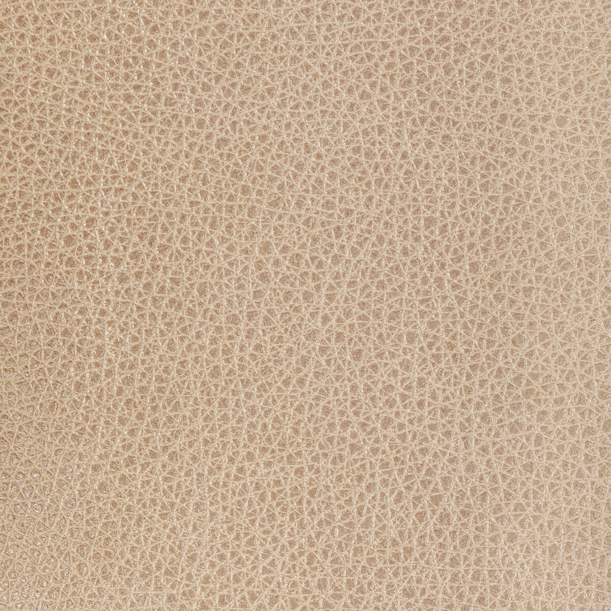 KRAVET DESIGN L-BISON.OAT.0 KRAVET DESIGN L-BISON-OAT Fabric - Eade's Wallpaper