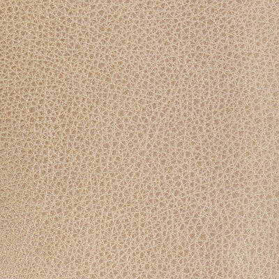 KRAVET DESIGN L-BISON.OAT.0 KRAVET DESIGN L-BISON-OAT Fabric - Eade's Wallpaper