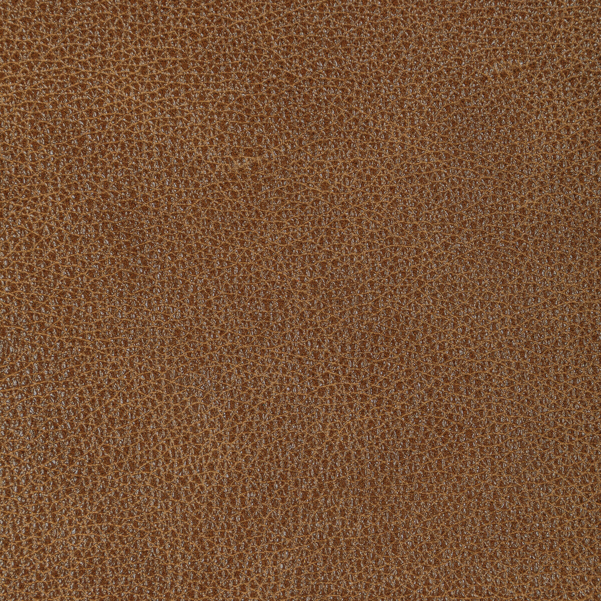 KRAVET DESIGN L-BISON.PECAN.0 KRAVET DESIGN L-BISON-PECAN Fabric - Eade's Wallpaper