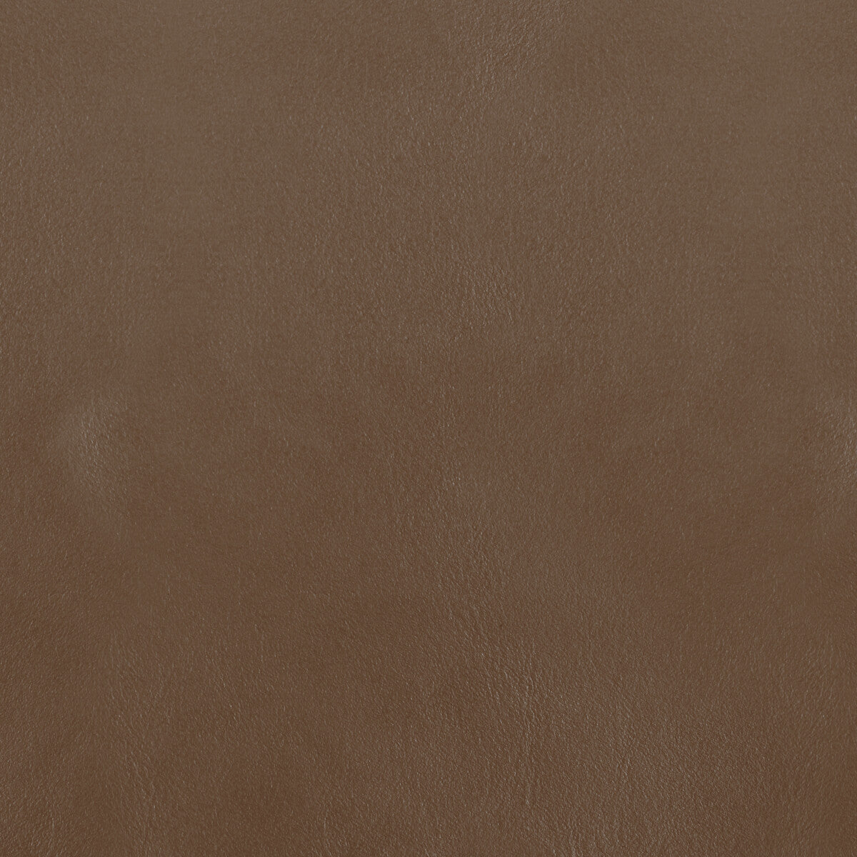 KRAVET DESIGN L-BOTA.JEWEL.0 KRAVET DESIGN L-BOTA-JEWEL Fabric - Eade's Wallpaper