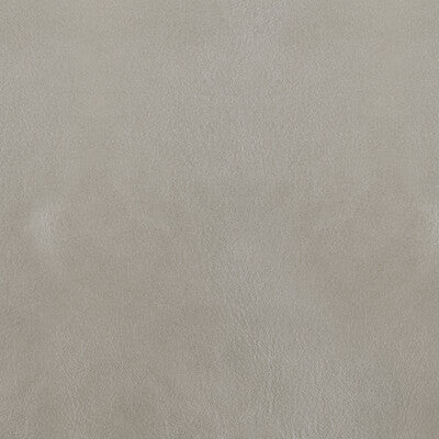 KRAVET DESIGN L-BOTA.SILVER.0 KRAVET DESIGN L-BOTA-SILVER Fabric - Eade's Wallpaper