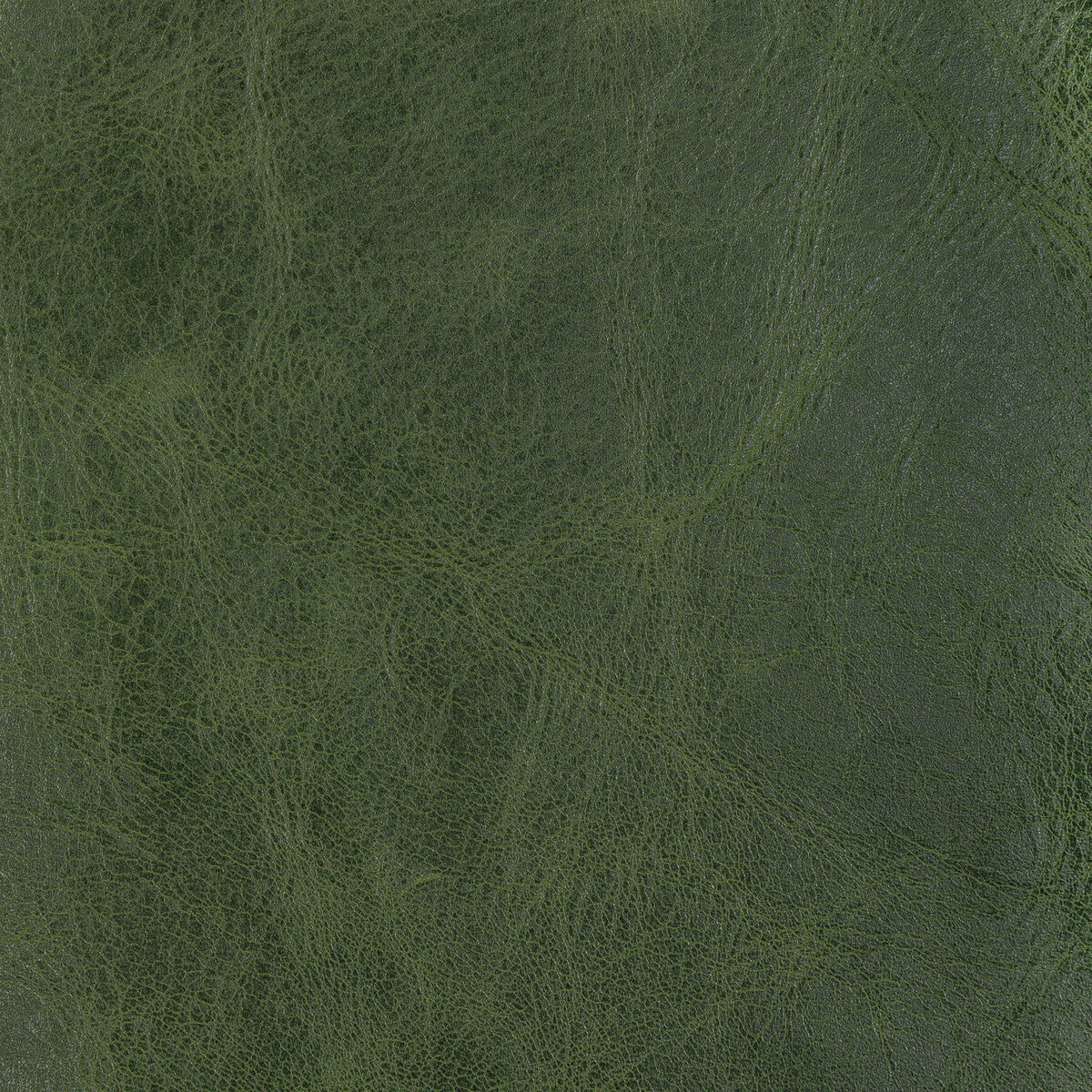 KRAVET DESIGN L-BRANTLEY.EVERGREEN.0 KRAVET DESIGN L-BRANTLEY-EVERGREEN Fabric - Eade's Wallpaper