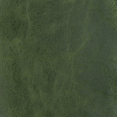 KRAVET DESIGN L-BRANTLEY.EVERGREEN.0 KRAVET DESIGN L-BRANTLEY-EVERGREEN Fabric - Eade's Wallpaper