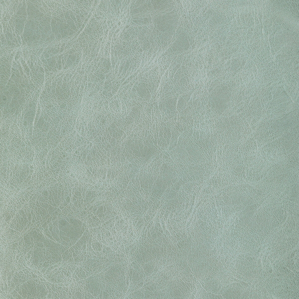 KRAVET DESIGN L-BRANTLEY.SAGE.0 KRAVET DESIGN L-BRANTLEY-SAGE Fabric - Eade's Wallpaper