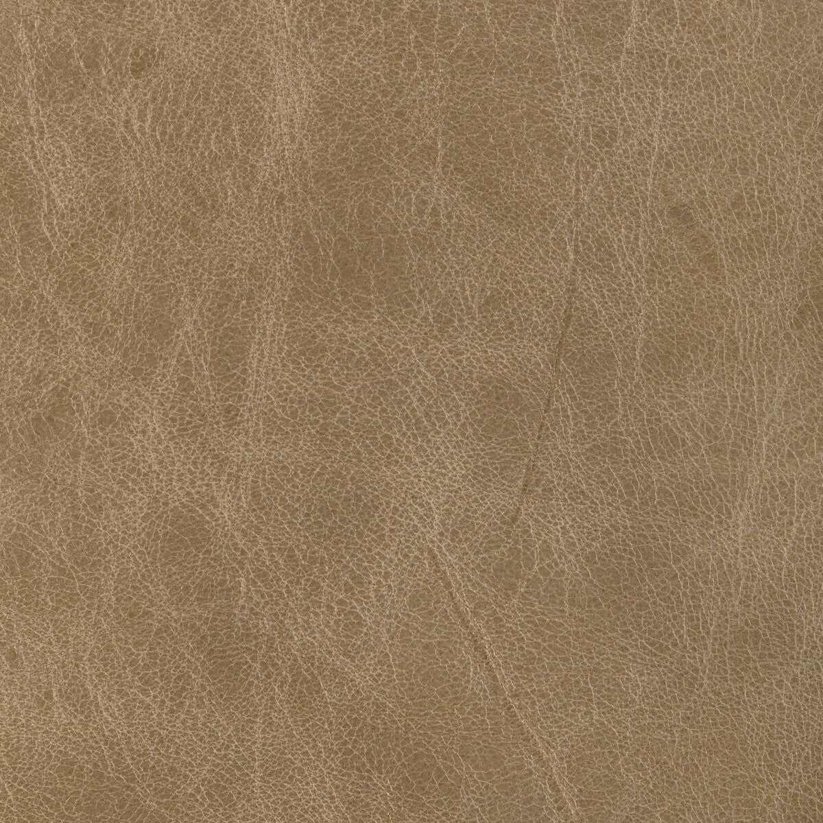 KRAVET DESIGN L-BRANTLEY.TAN.0 KRAVET DESIGN L-BRANTLEY-TAN Fabric - Eade's Wallpaper