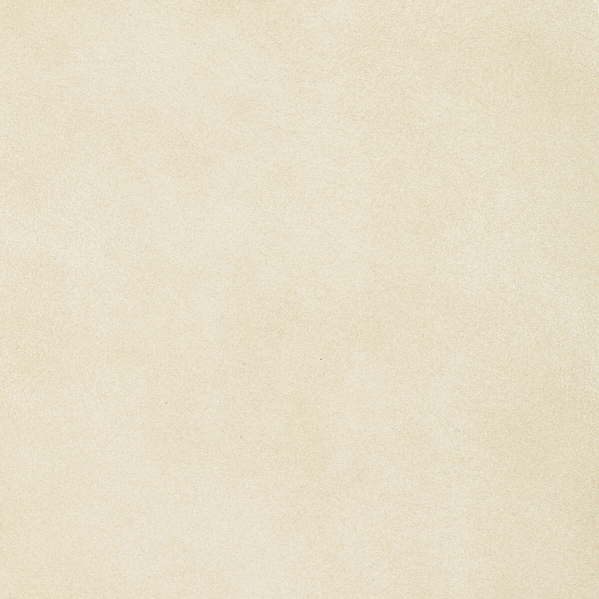 KRAVET DESIGN L-BRONCO.OAT.0 KRAVET DESIGN L-BRONCO-OAT Fabric - Eade's Wallpaper