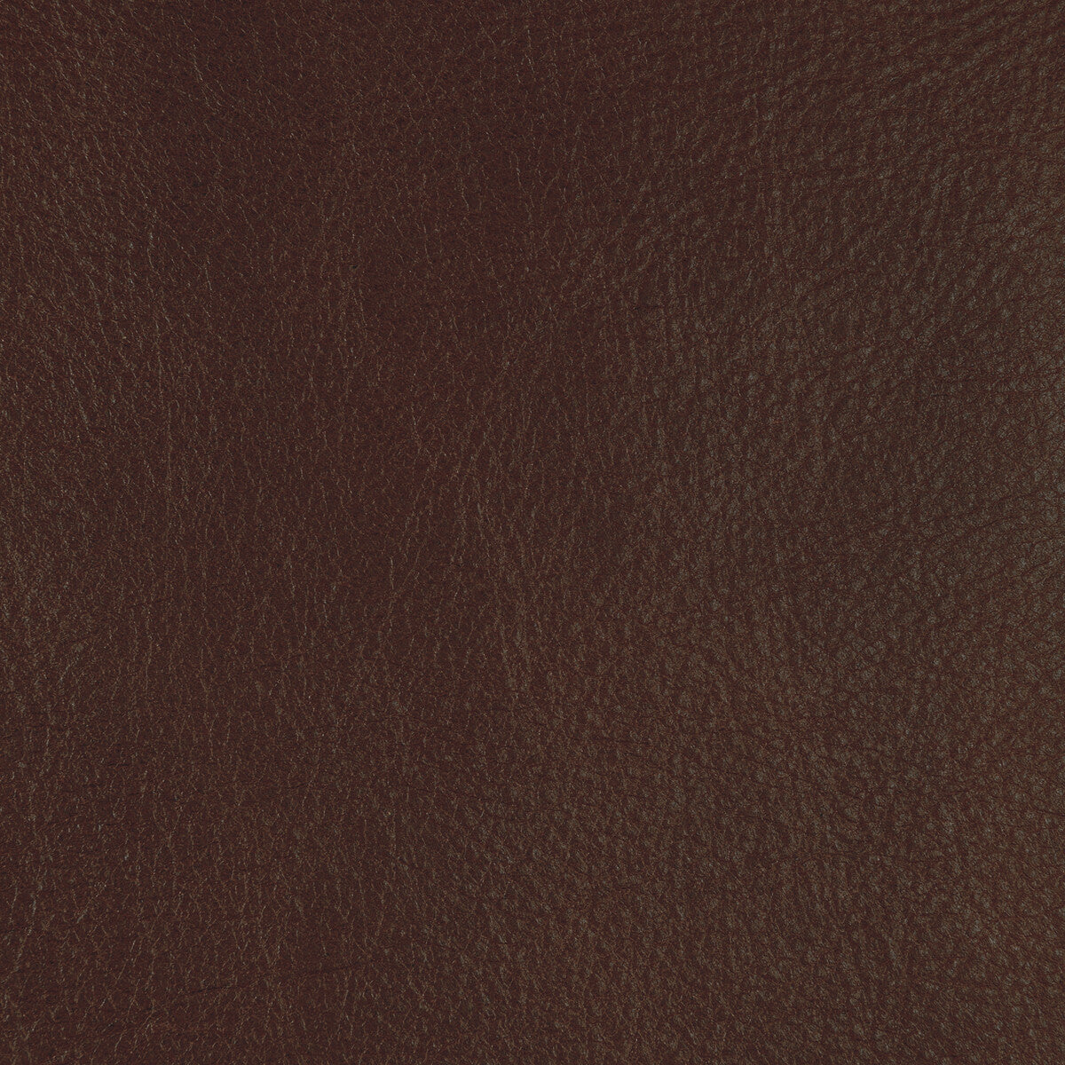 KRAVET DESIGN L-CANNON.HICKORY.0 KRAVET DESIGN L-CANNON-HICKORY Fabric - Eade's Wallpaper