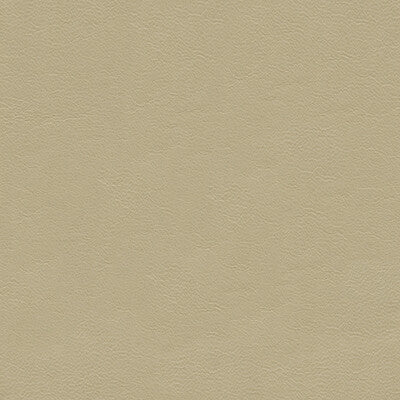 KRAVET COUTURE L-CANTLE.VELLUM.0 KRAVET COUTURE L-CANTLE-VELLUM Fabric - Eade's Wallpaper