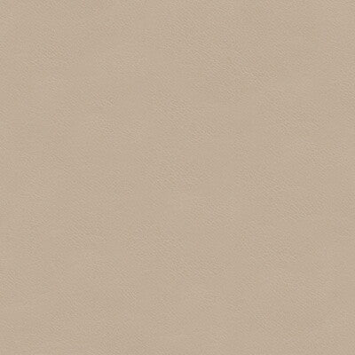 KRAVET COUTURE L-CAVESSON.BLUSH.0 KRAVET COUTURE L-CAVESSON-BLUSH Fabric - Eade's Wallpaper