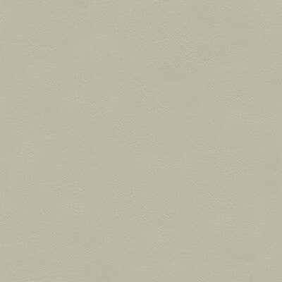 KRAVET COUTURE L-CAVESSON.PEARL.0 KRAVET COUTURE L-CAVESSON-PEARL Fabric - Eade's Wallpaper