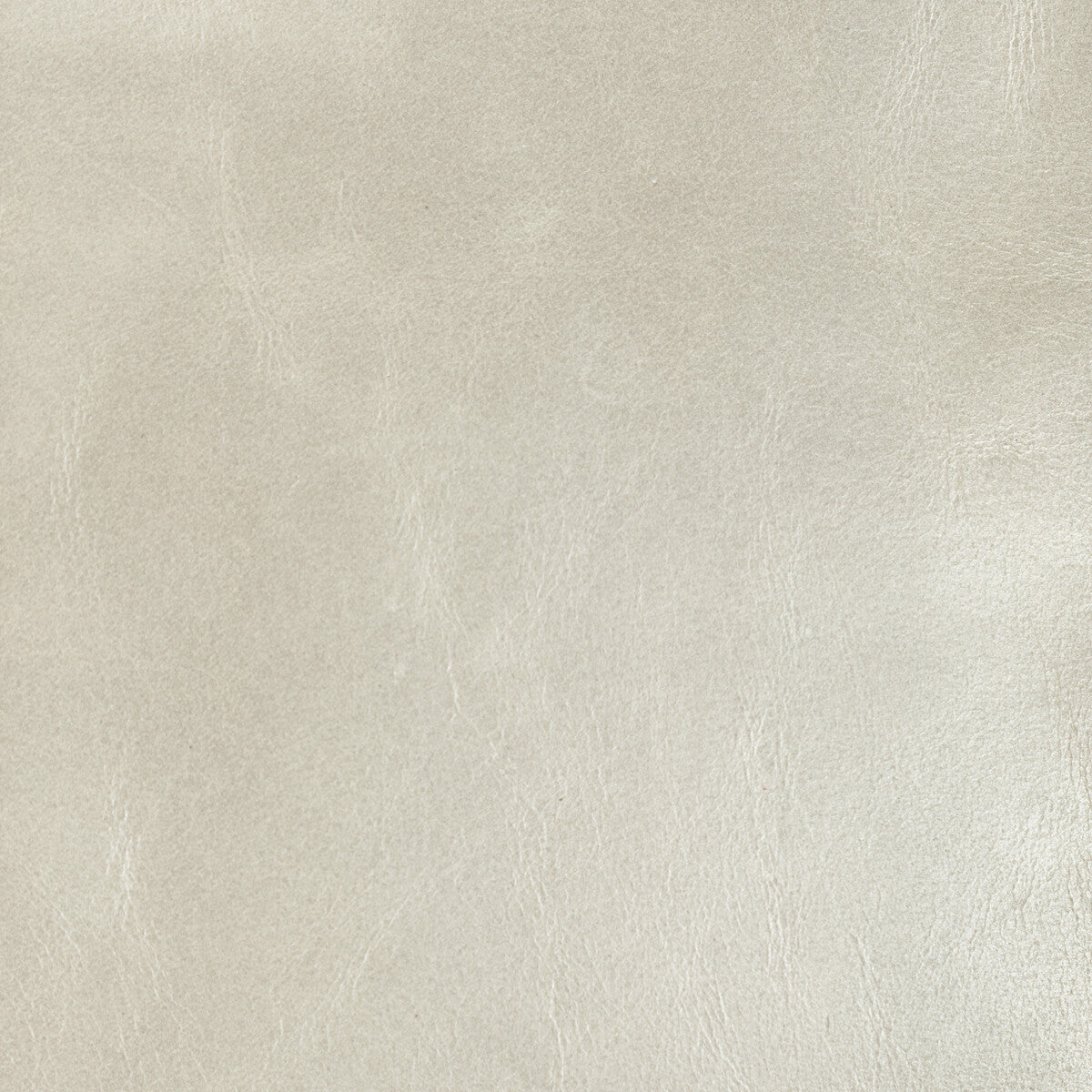 KRAVET DESIGN L-CHANTEY.FOSSIL.0 KRAVET DESIGN L-CHANTEY-FOSSIL Fabric - Eade's Wallpaper