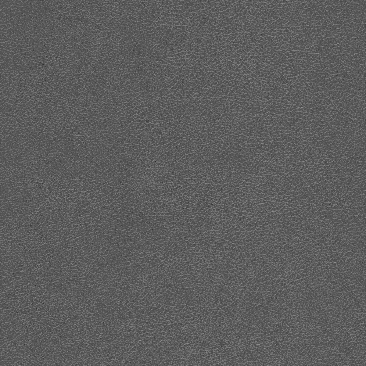 KRAVET DESIGN L-CIMARRON.BARK.0 KRAVET DESIGN L-CIMARRON-BARK Fabric - Eade's Wallpaper