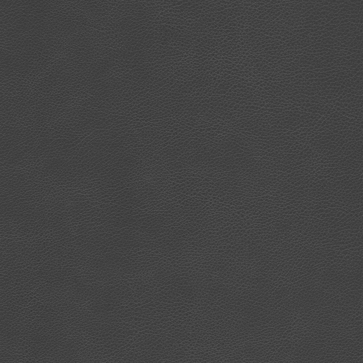 KRAVET DESIGN L-CIMARRON.CHARCOAL.0 KRAVET DESIGN L-CIMARRON-CHARCOAL Fabric - Eade's Wallpaper