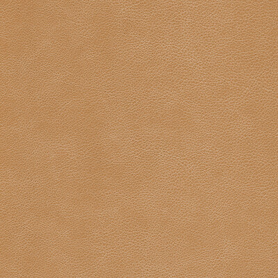 KRAVET DESIGN L-CIMARRON.CHESTNUT.0 KRAVET DESIGN L-CIMARRON-CHESTNUT Fabric - Eade's Wallpaper