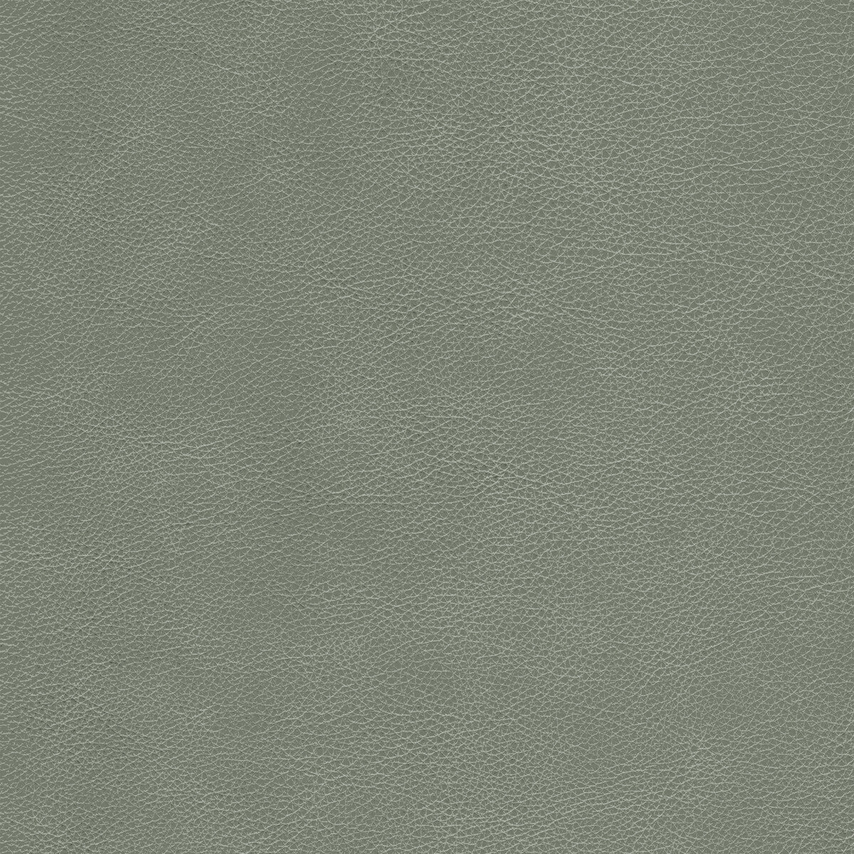 KRAVET DESIGN L-CIMARRON.ELEPHANT.0 KRAVET DESIGN L-CIMARRON-ELEPHANT Fabric - Eade's Wallpaper