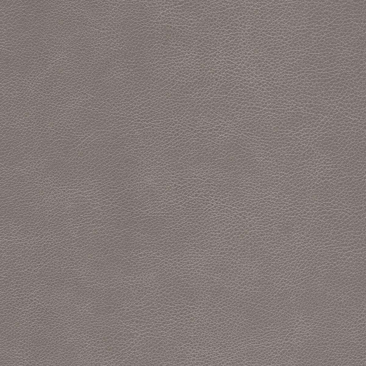 KRAVET DESIGN L-CIMARRON.FAWN.0 KRAVET DESIGN L-CIMARRON-FAWN Fabric - Eade's Wallpaper