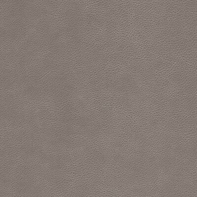 KRAVET DESIGN L-CIMARRON.FAWN.0 KRAVET DESIGN L-CIMARRON-FAWN Fabric - Eade's Wallpaper