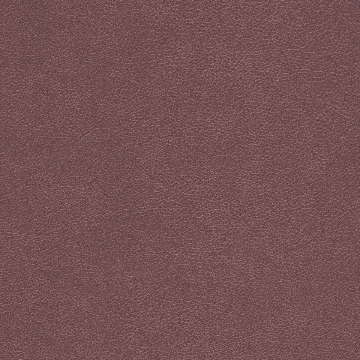 KRAVET DESIGN L-CIMARRON.WHISKEY.0 KRAVET DESIGN L-CIMARRON-WHISKEY Fabric - Eade's Wallpaper