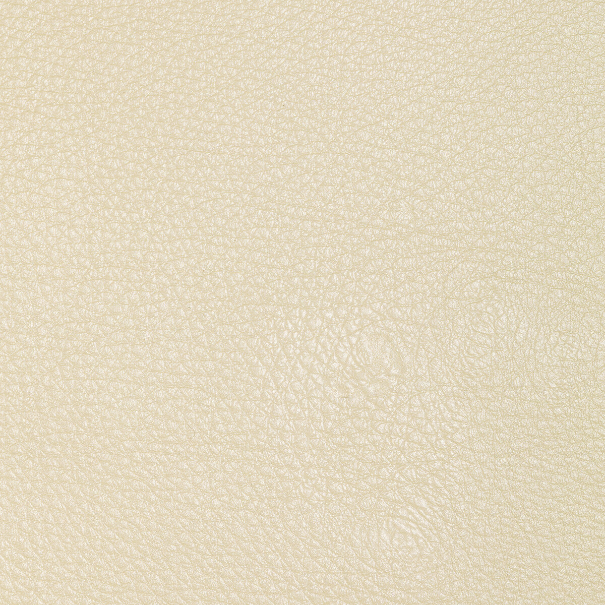 KRAVET DESIGN L-CONCHAS.CLOUD.0 KRAVET DESIGN L-CONCHAS-CLOUD Fabric - Eade's Wallpaper