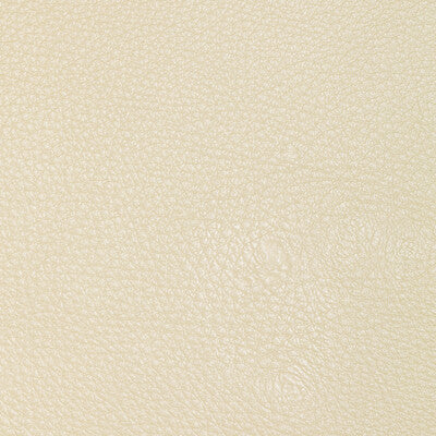 KRAVET DESIGN L-CONCHAS.CLOUD.0 KRAVET DESIGN L-CONCHAS-CLOUD Fabric - Eade's Wallpaper