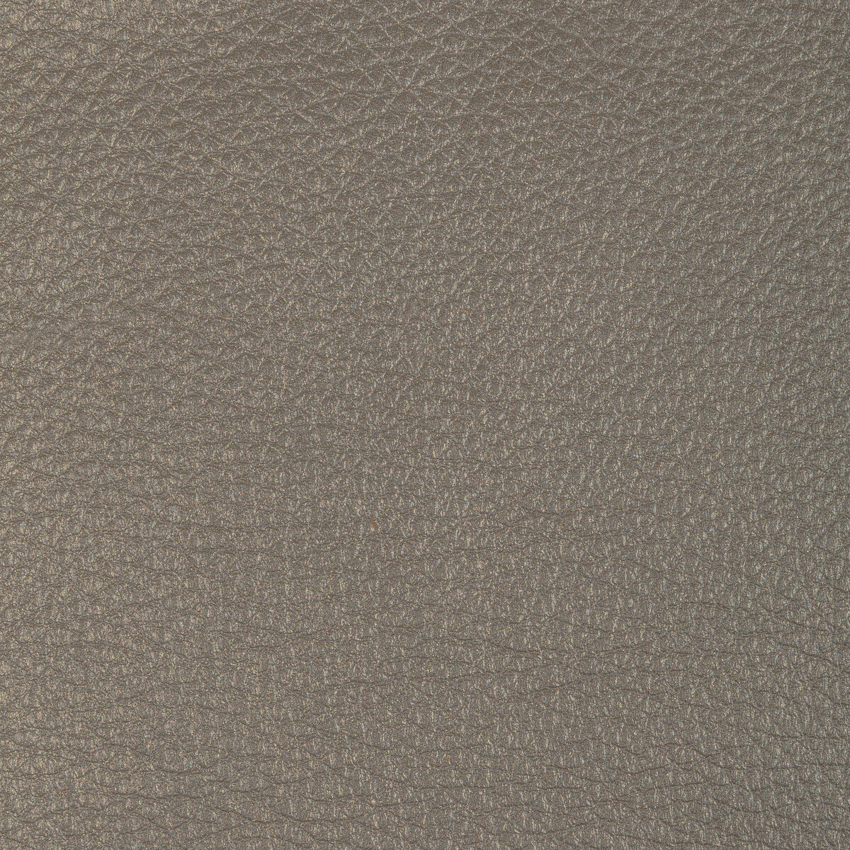 KRAVET DESIGN L-CONCHAS.ELEPHANT.0 KRAVET DESIGN L-CONCHAS-ELEPHANT Fabric - Eade's Wallpaper