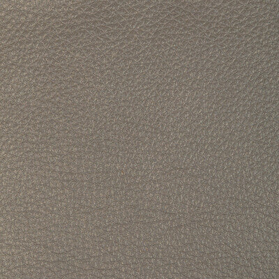 KRAVET DESIGN L-CONCHAS.ELEPHANT.0 KRAVET DESIGN L-CONCHAS-ELEPHANT Fabric - Eade's Wallpaper