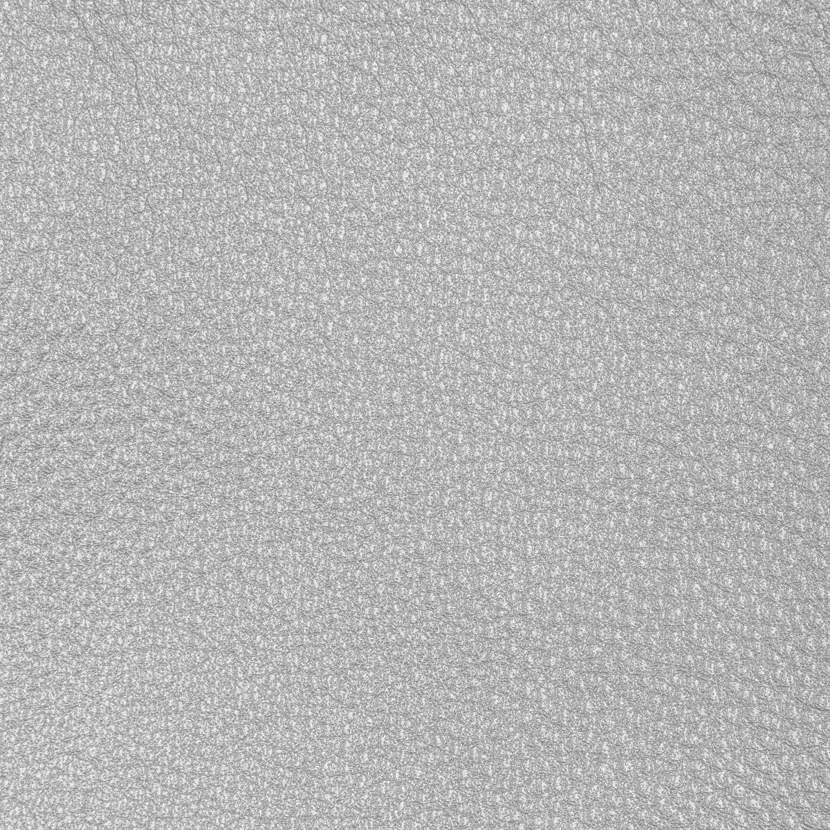 KRAVET DESIGN L-CONCHAS.SILVER.0 KRAVET DESIGN L-CONCHAS-SILVER Fabric - Eade's Wallpaper