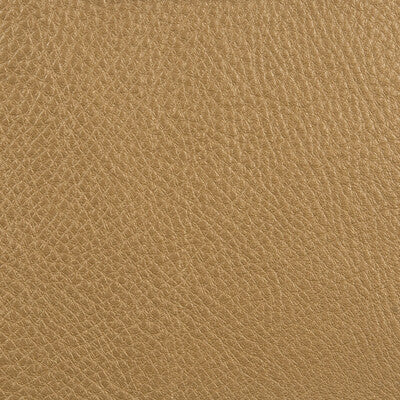 KRAVET DESIGN L-COUNTRY.GOLD RUSH.0 L-COUNTRY Fabric - Eade's Wallpaper