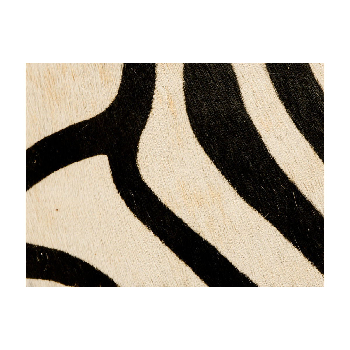 KRAVET COUTURE L-COVETED.81.0 PAINTED ZEBRA NATURAL Fabric - Eade's Wallpaper