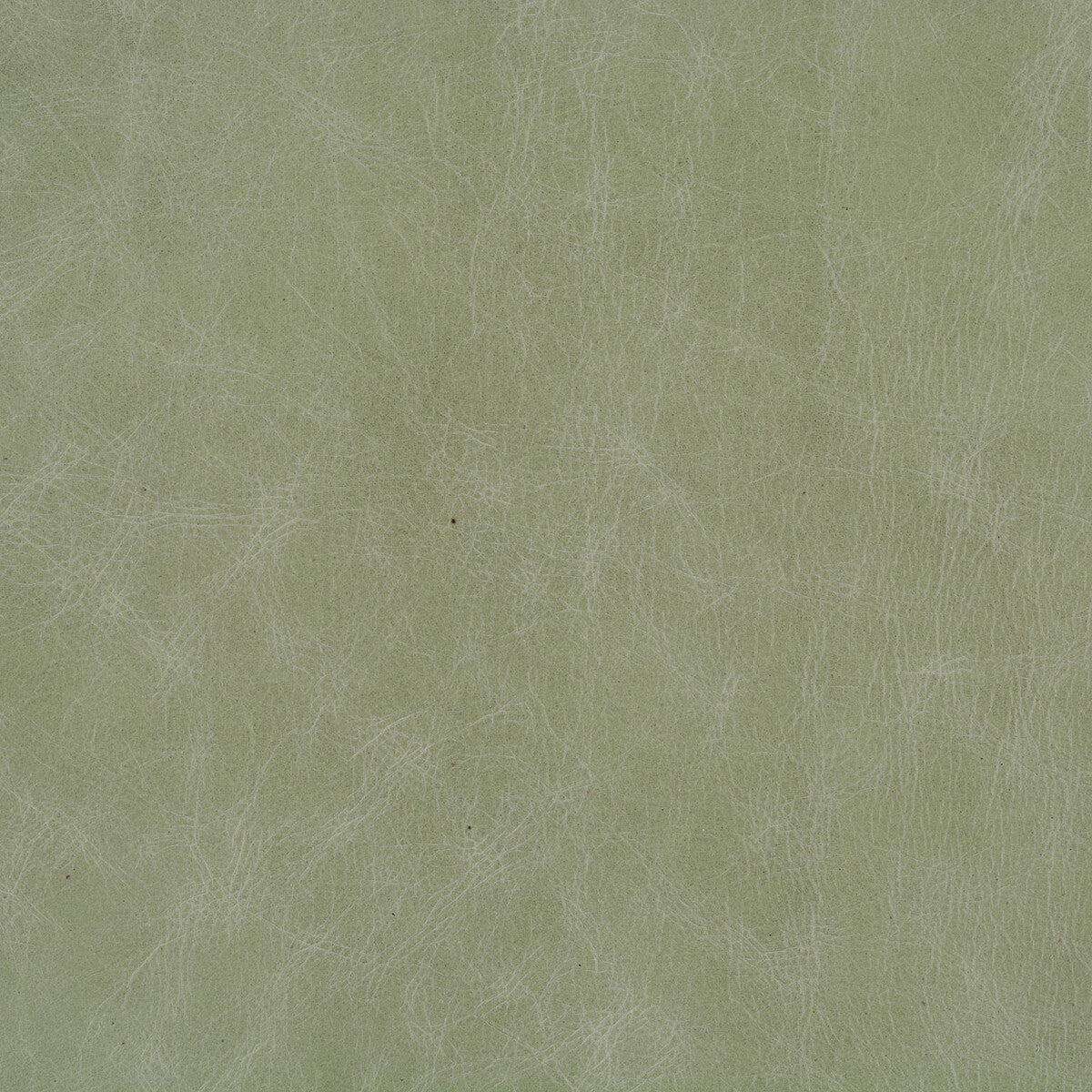 KRAVET DESIGN L-CUERO.EUCALYPTUS.0 KRAVET DESIGN L-CUERO-EUCALYPTUS Fabric - Eade's Wallpaper