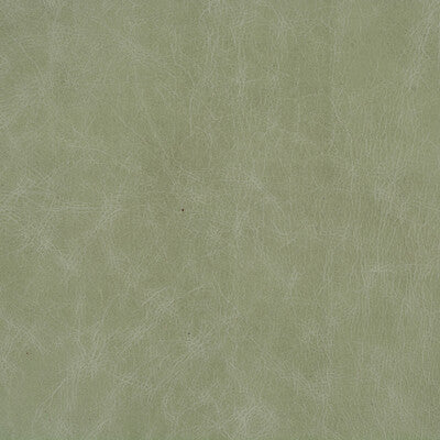 KRAVET DESIGN L-CUERO.EUCALYPTUS.0 KRAVET DESIGN L-CUERO-EUCALYPTUS Fabric - Eade's Wallpaper