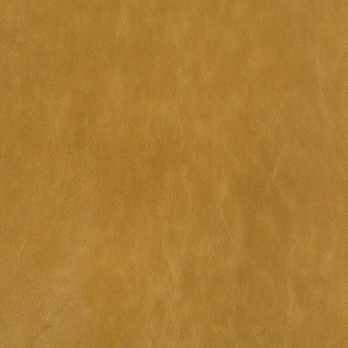 KRAVET DESIGN L-CUERO.FLAX.0 KRAVET DESIGN L-CUERO-FLAX Fabric - Eade's Wallpaper