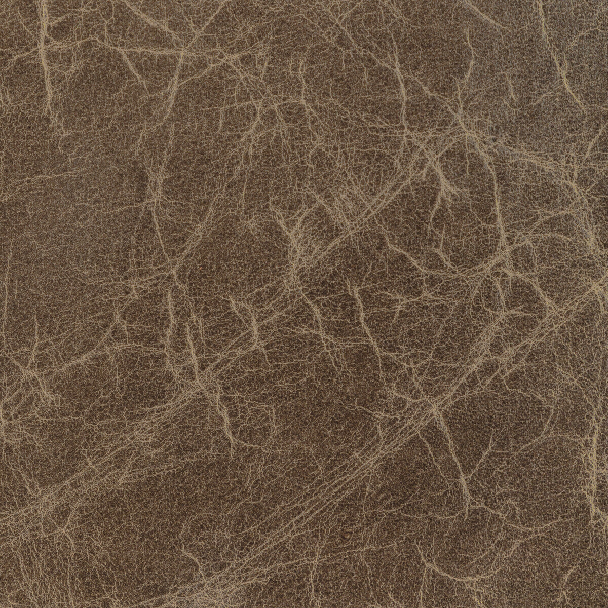 KRAVET DESIGN L-DE BACA.STONE.0 KRAVET DESIGN L-DE BACA-STONE Fabric - Eade's Wallpaper