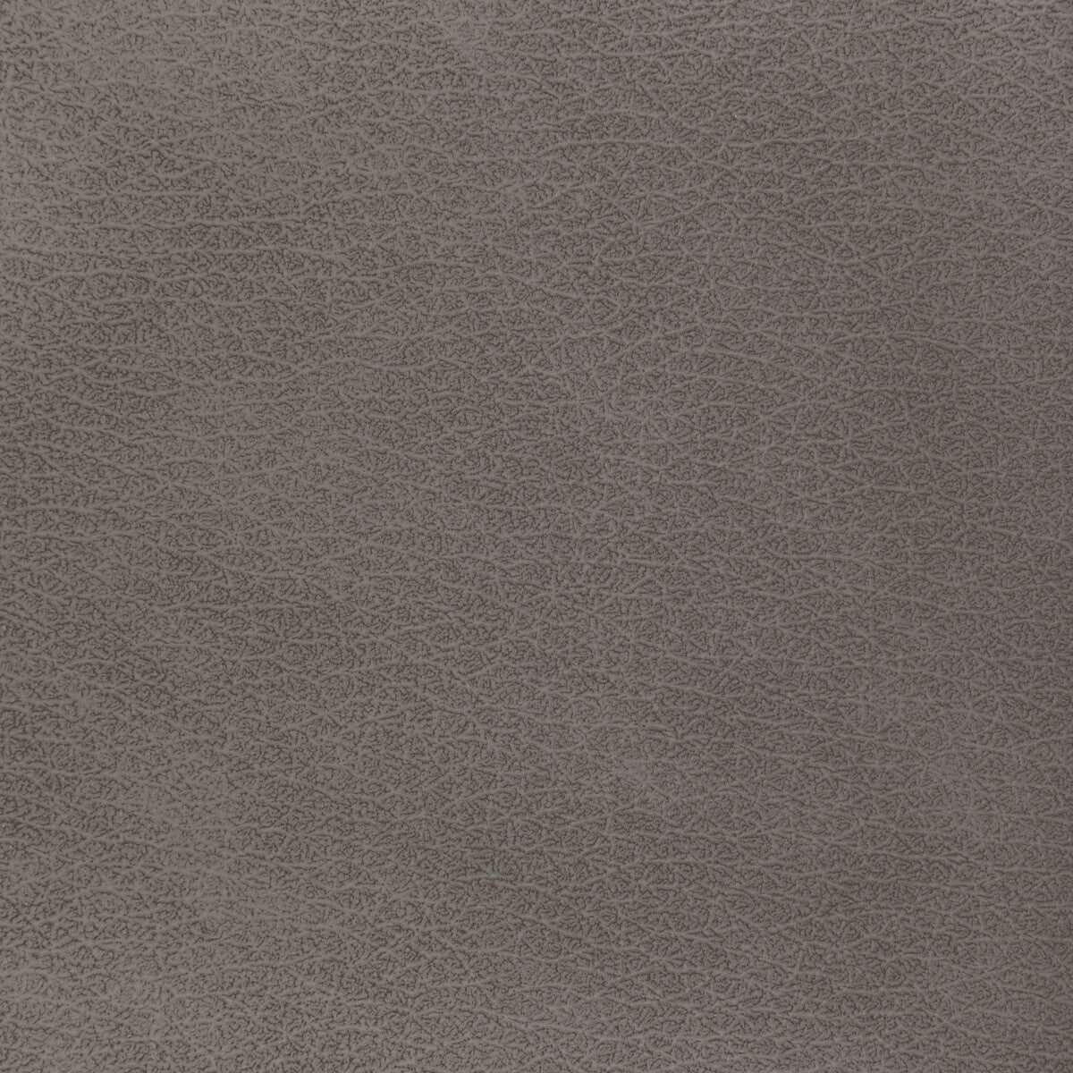 KRAVET DESIGN L-EL VADO.TAUPE.0 KRAVET DESIGN L-EL VADO-TAUPE Fabric - Eade's Wallpaper
