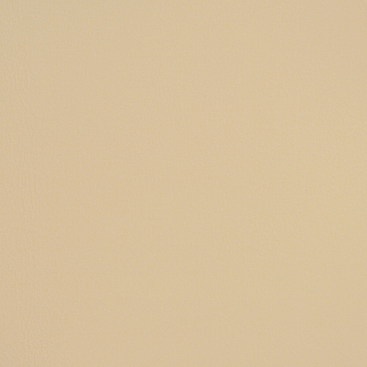 KRAVET DESIGN L-FIRENZE.OYSTER.0 KRAVET DESIGN L-FIRENZE-OYSTER Fabric - Eade's Wallpaper