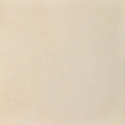 KRAVET DESIGN L-GLISTEN.SEASHELL.0 L-GLISTEN-SEASHELL Fabric - Eade's Wallpaper