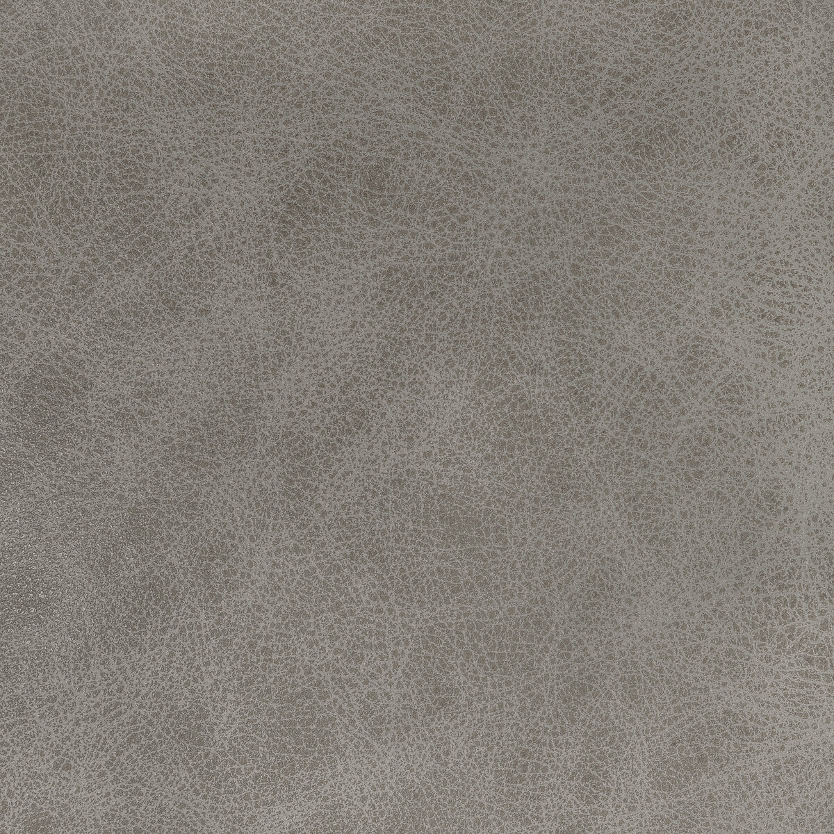 KRAVET DESIGN L-GRANGE.PEBBLE.0 KRAVET DESIGN L-GRANGE-PEBBLE Fabric - Eade's Wallpaper