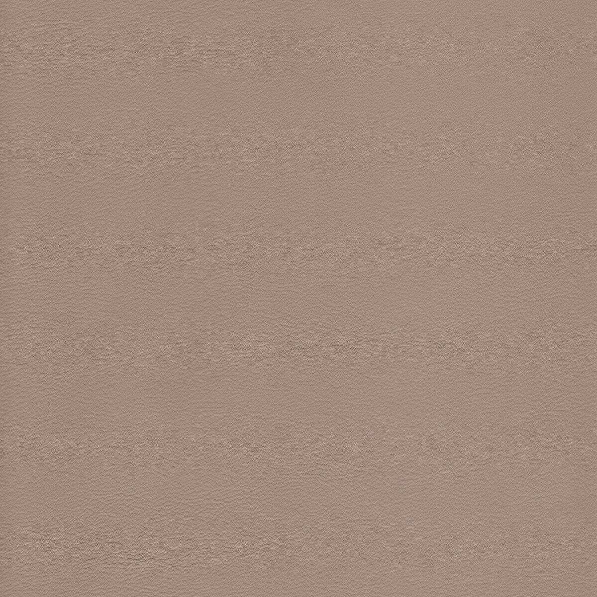 KRAVET DESIGN L-HOWDY.BEACH.0 KRAVET DESIGN L-HOWDY-BEACH Fabric - Eade's Wallpaper