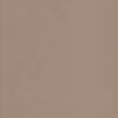 KRAVET DESIGN L-HOWDY.BEACH.0 KRAVET DESIGN L-HOWDY-BEACH Fabric - Eade's Wallpaper