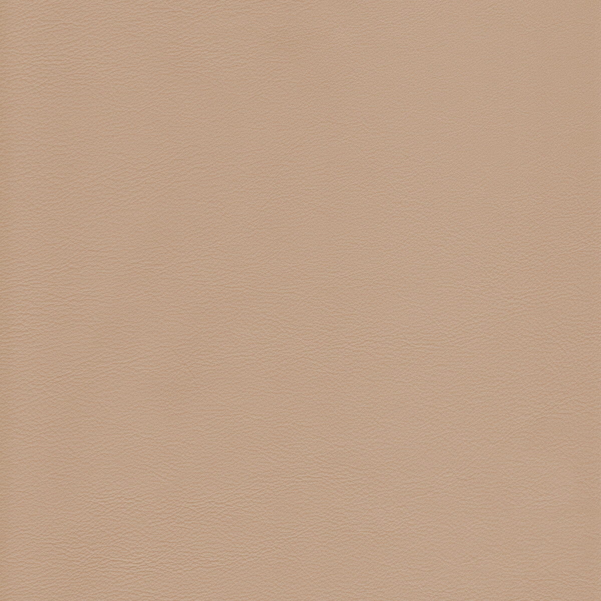 KRAVET DESIGN L-HOWDY.BIRCH.0 KRAVET DESIGN L-HOWDY-BIRCH Fabric - Eade's Wallpaper