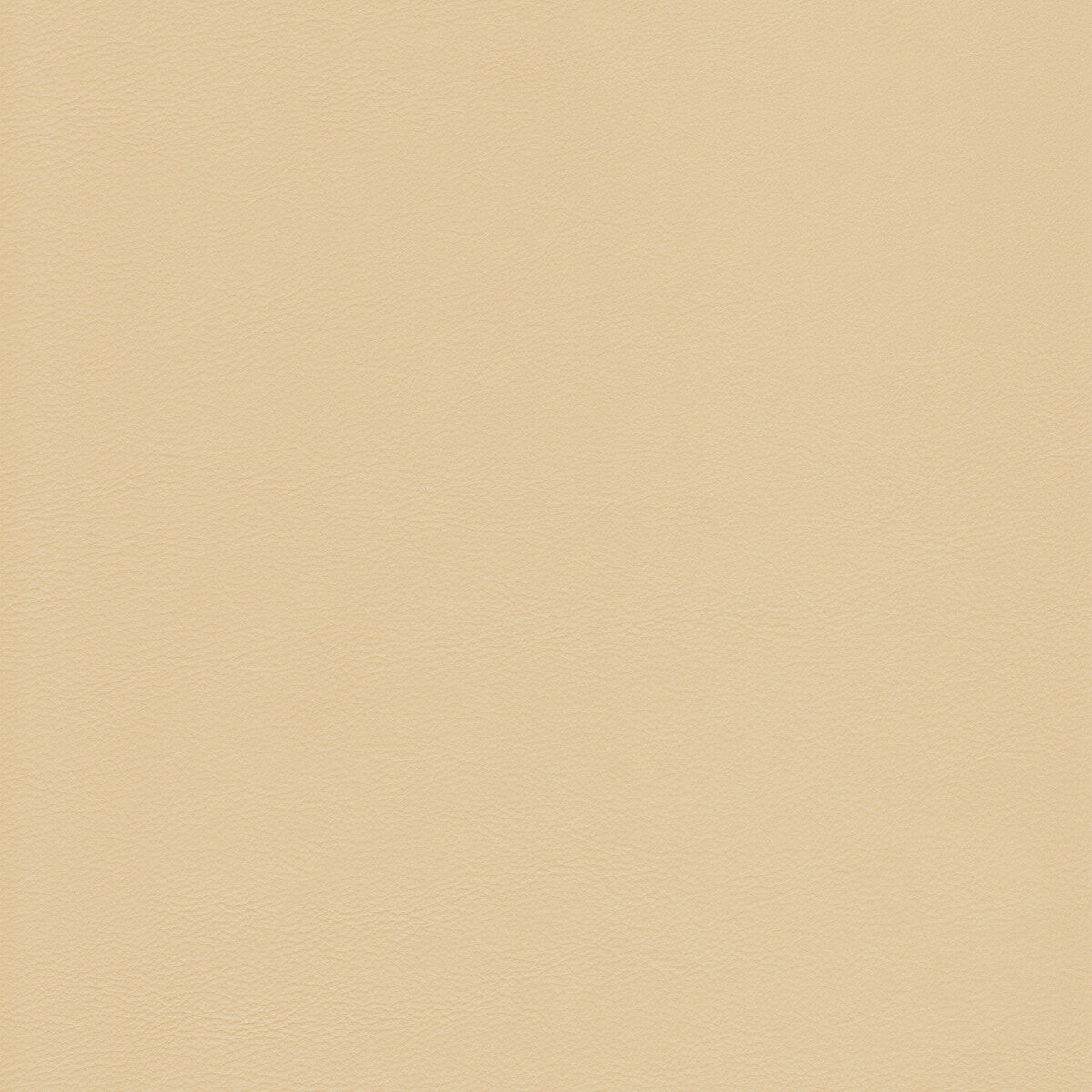 KRAVET DESIGN L-HOWDY.BUTTER.0 KRAVET DESIGN L-HOWDY-BUTTER Fabric - Eade's Wallpaper