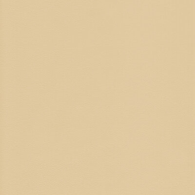 KRAVET DESIGN L-HOWDY.BUTTER.0 KRAVET DESIGN L-HOWDY-BUTTER Fabric - Eade's Wallpaper