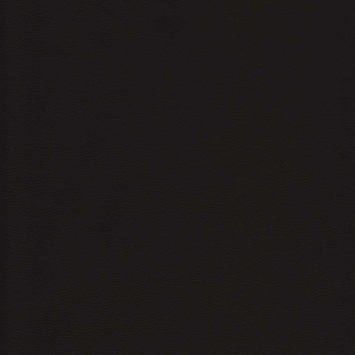 KRAVET DESIGN L-HOWDY.CAPPUCCINO.0 KRAVET DESIGN L-HOWDY-CAPPUCCINO Fabric - Eade's Wallpaper