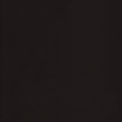 KRAVET DESIGN L-HOWDY.CAPPUCCINO.0 KRAVET DESIGN L-HOWDY-CAPPUCCINO Fabric - Eade's Wallpaper