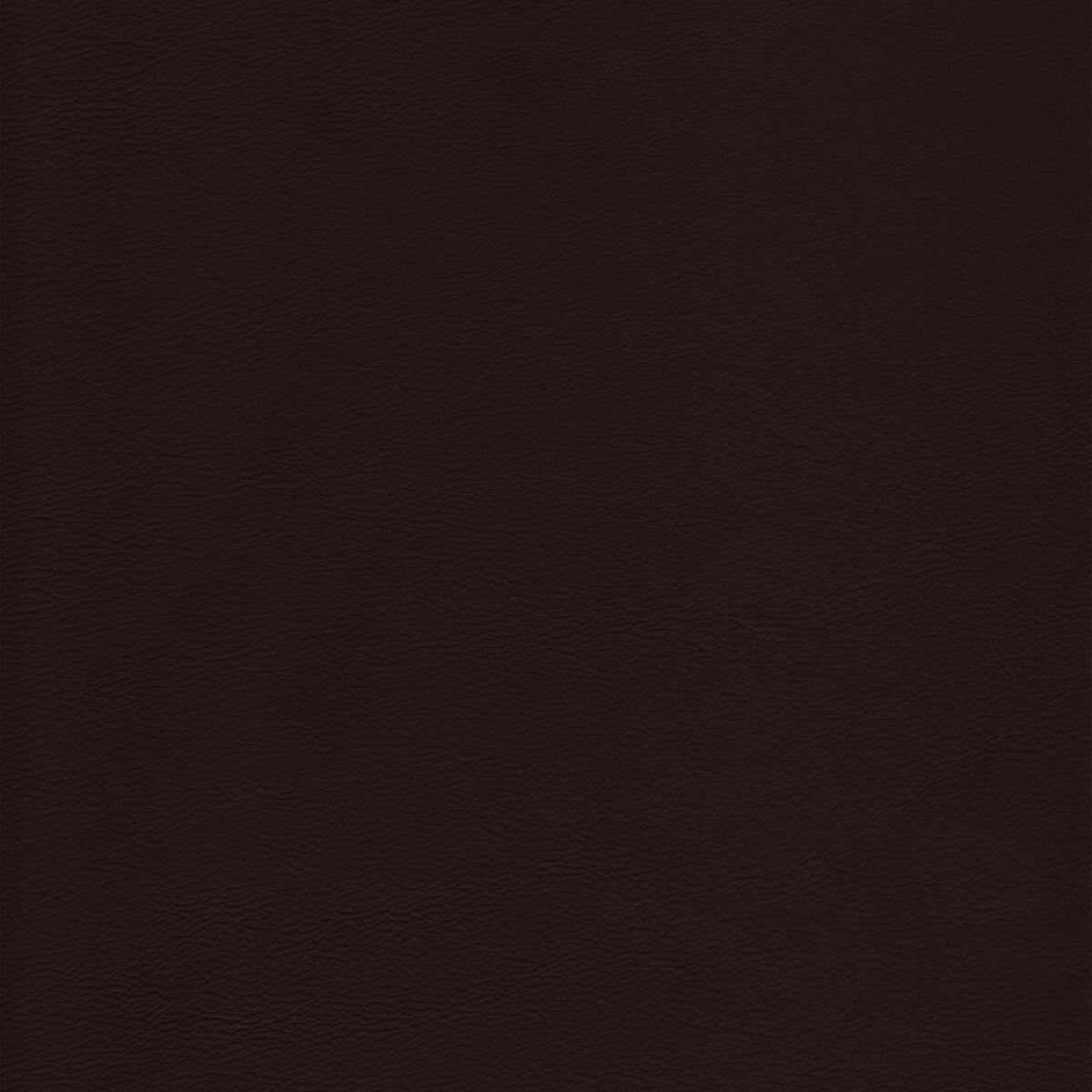 KRAVET DESIGN L-HOWDY.CHOCOLATE.0 KRAVET DESIGN L-HOWDY-CHOCOLATE Fabric - Eade's Wallpaper