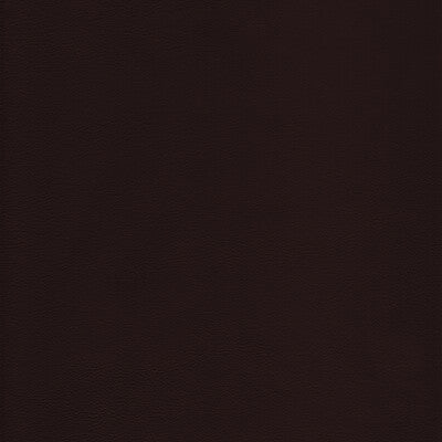 KRAVET DESIGN L-HOWDY.CHOCOLATE.0 KRAVET DESIGN L-HOWDY-CHOCOLATE Fabric - Eade's Wallpaper