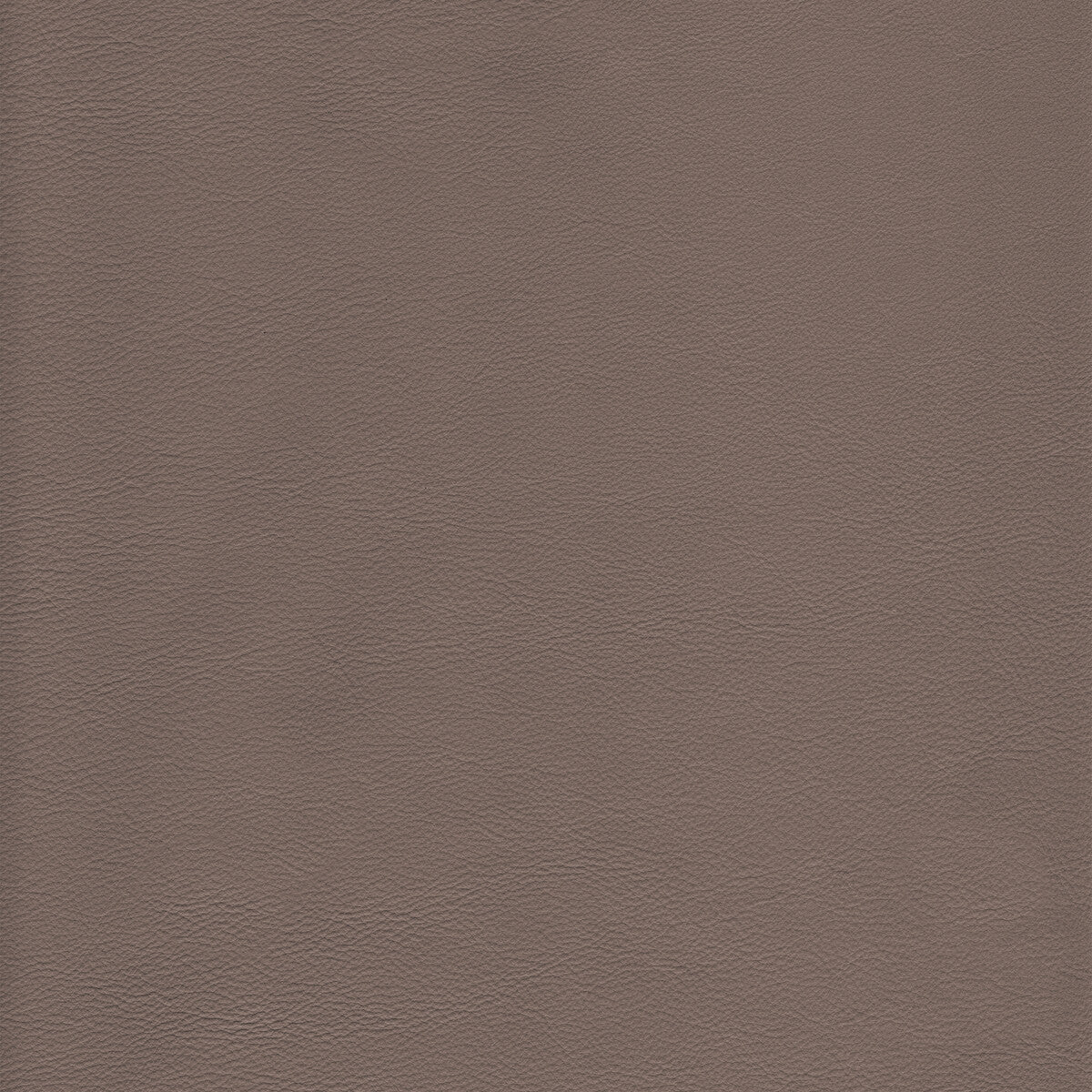 KRAVET DESIGN L-HOWDY.DOLPHIN.0 KRAVET DESIGN L-HOWDY-DOLPHIN Fabric - Eade's Wallpaper