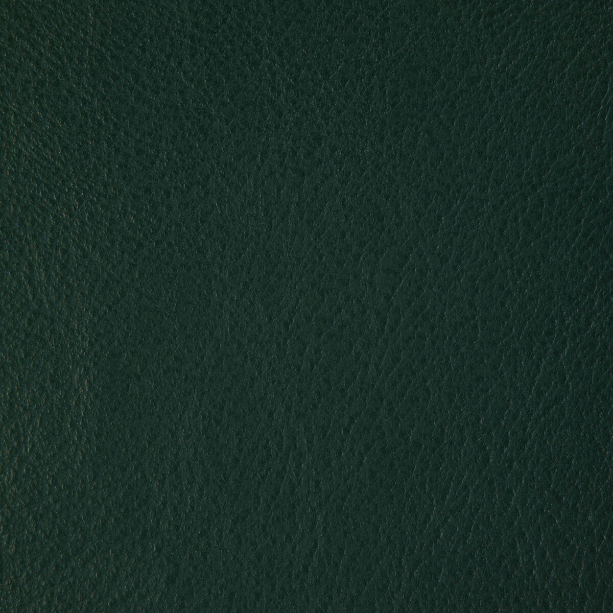 KRAVET DESIGN L-HOWDY.EMERALD.0 KRAVET DESIGN L-HOWDY-EMERALD Fabric - Eade's Wallpaper