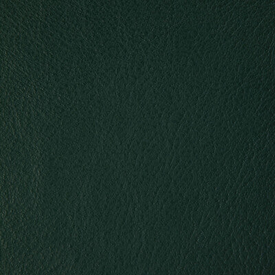KRAVET DESIGN L-HOWDY.EMERALD.0 KRAVET DESIGN L-HOWDY-EMERALD Fabric - Eade's Wallpaper